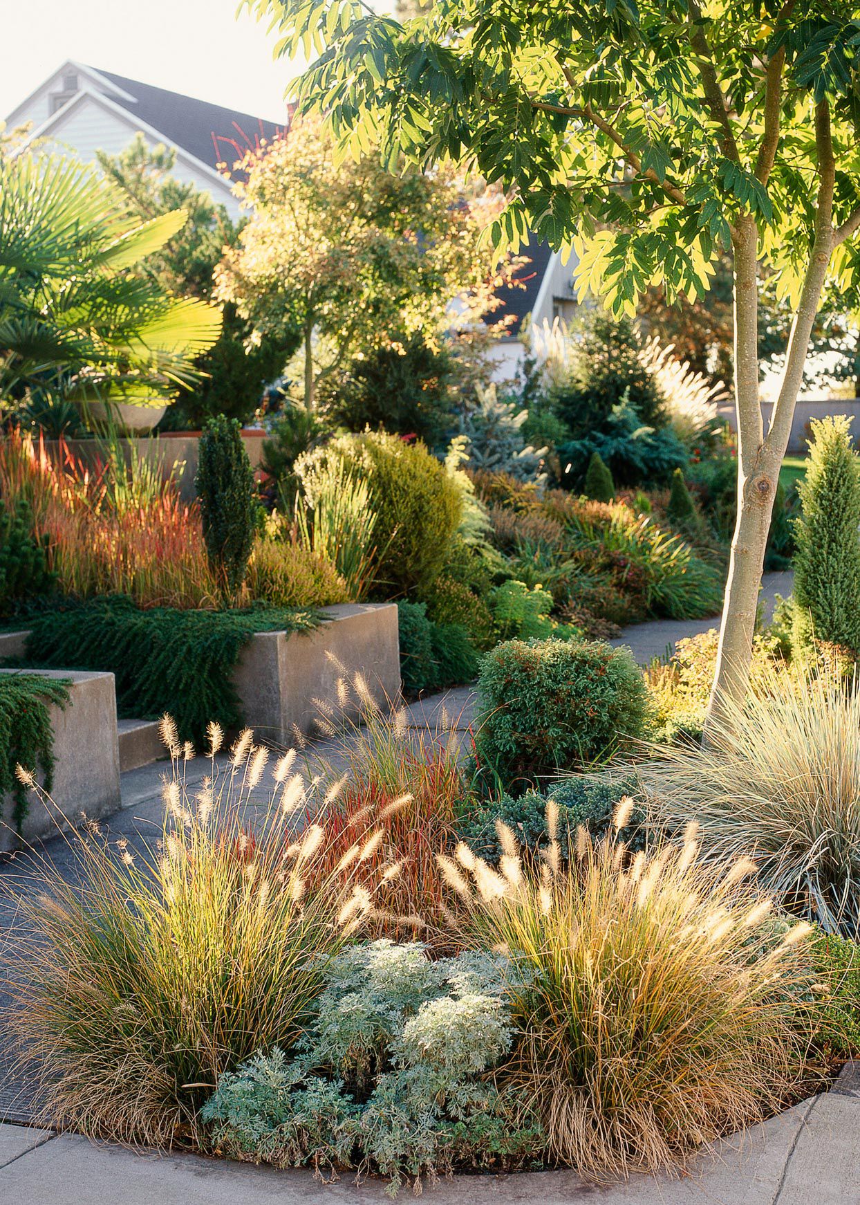 drought-resistant landscaping
