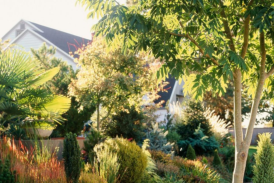 drought-resistant landscaping