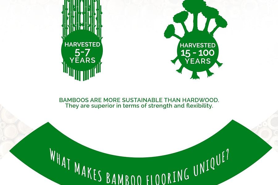 bamboo flooring sustainable