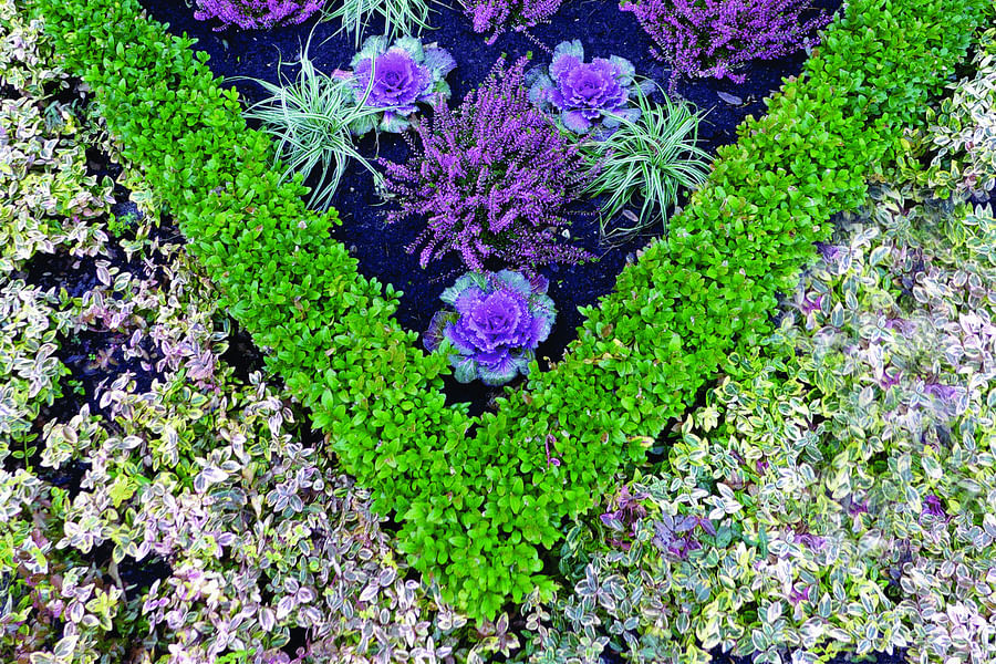 edible landscaping luxury homes