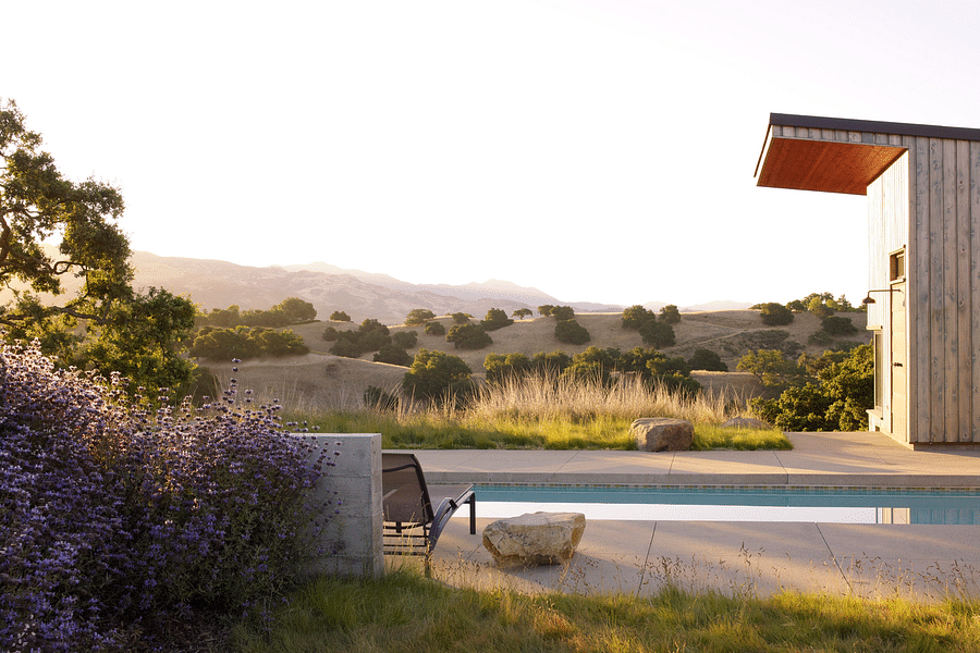 drought-tolerant luxury garden