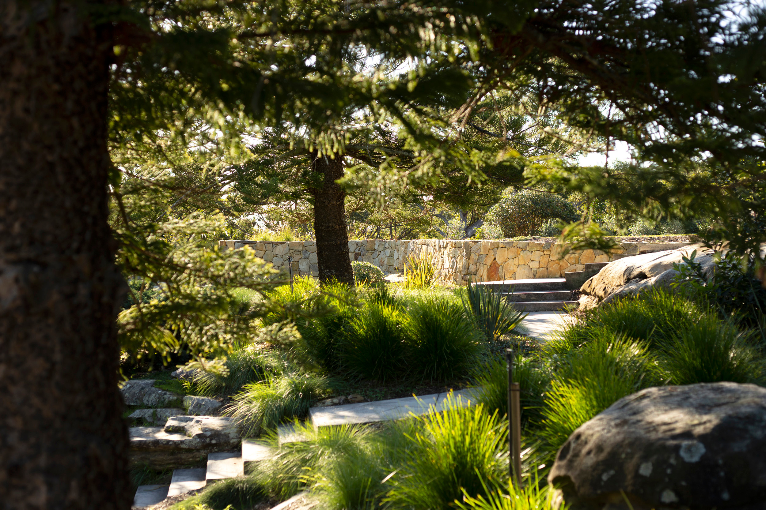 luxury edible garden landscaping