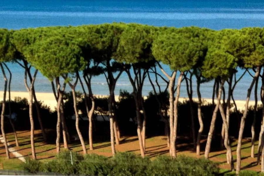 seaside orchard garden